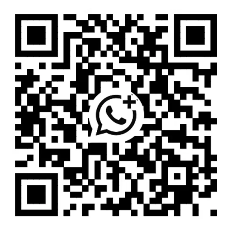 +8613422037098 WhatsApp