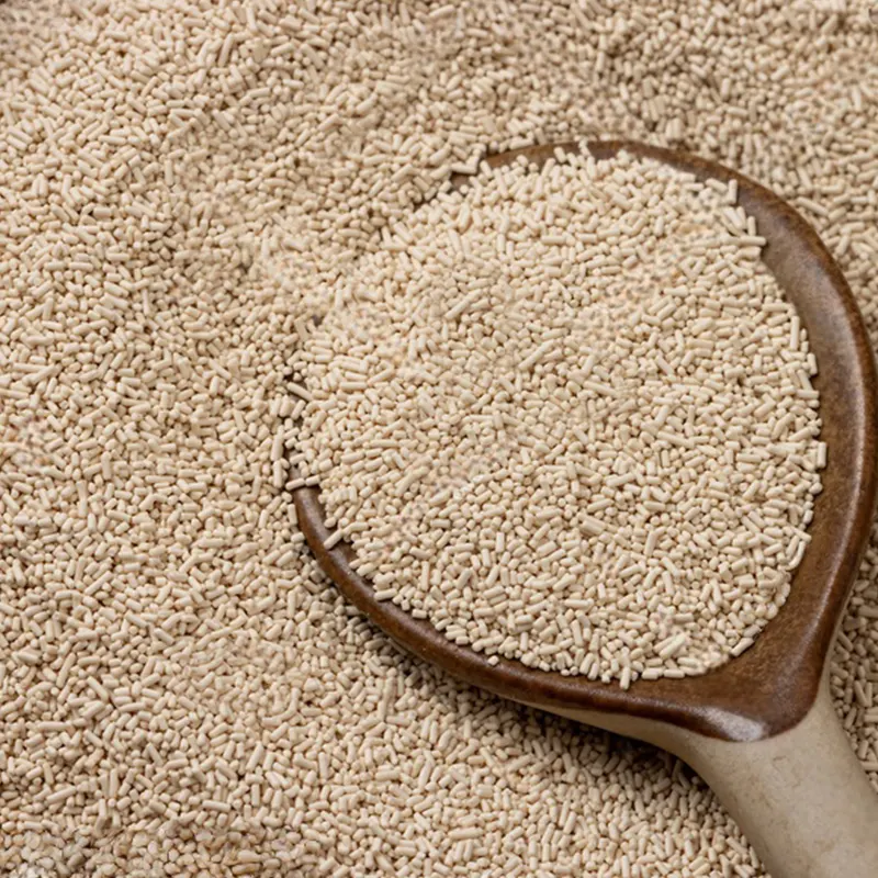 Close-up of active instant dry yeast granules in a wooden spoon, ideal for consistent baking performance in bread, cakes, and pastries.